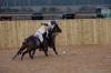 Oxford Polo 2022_12_11 0099